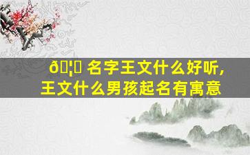 🦊 名字王文什么好听,王文什么男孩起名有寓意